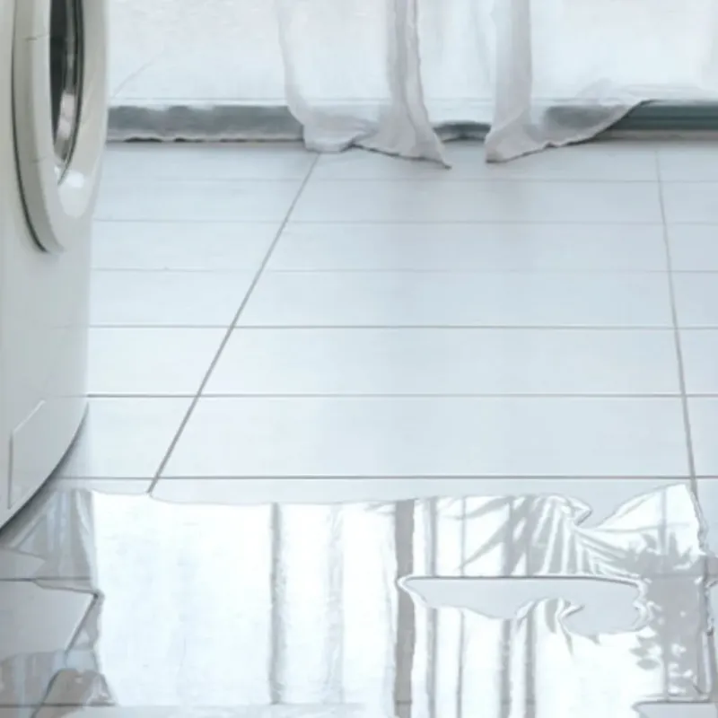 Appliance Leak Cleanup in Burlington, OH
