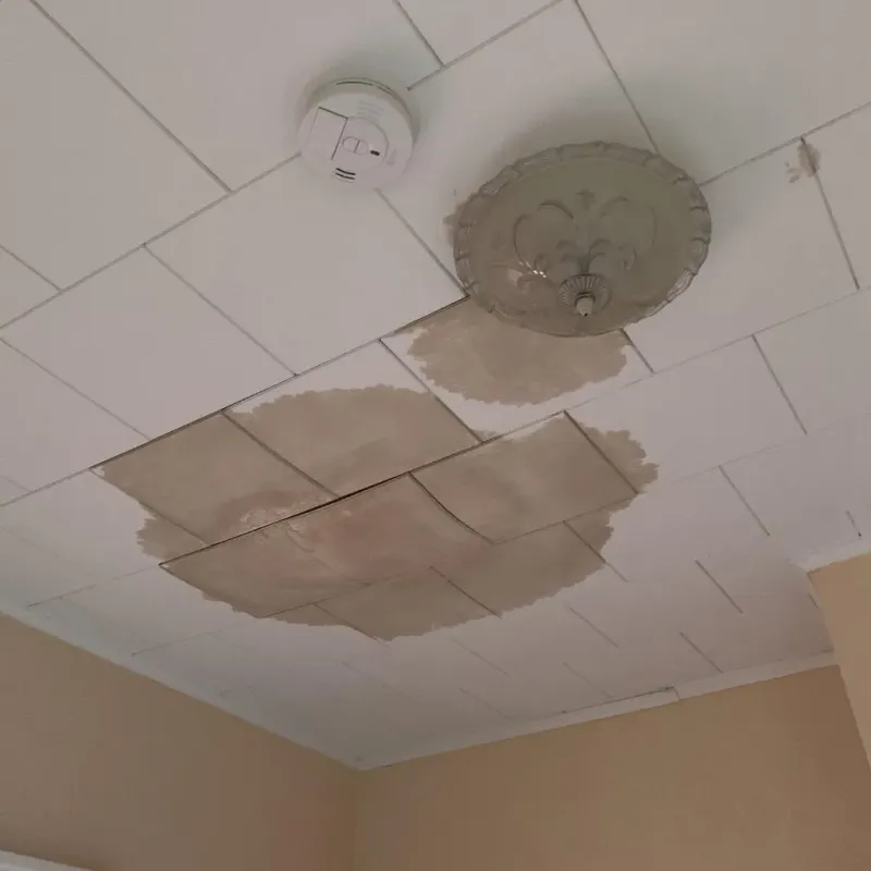 Ceiling Water Damage Repair in Burlington, OH