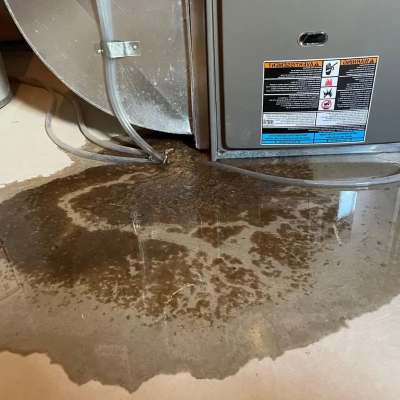 Pipe Burst and Leak Restoration in Burlington, OH