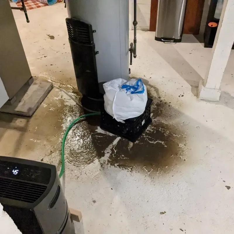 Sewage Backup Cleanup Service in Burlington, OH